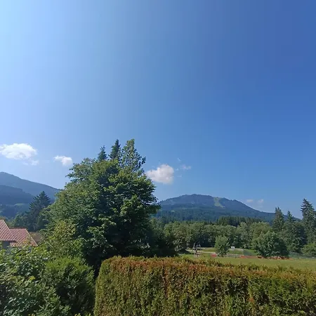 Im Reichenbach B17 Nesselwang